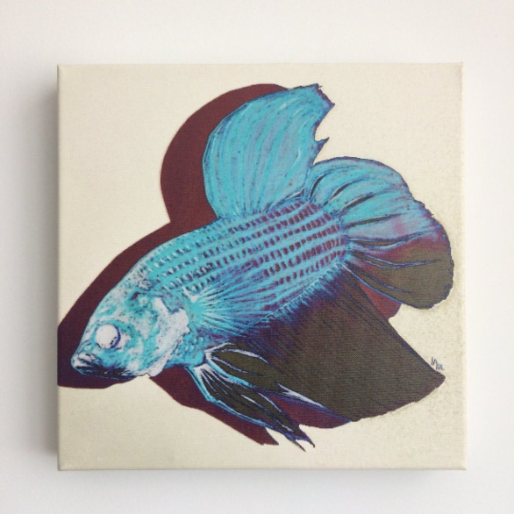 Beta Fish - Original Wall Art print on 12 x 12 canvas - Picture 2 of 6